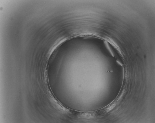 X0000068820806200605121314