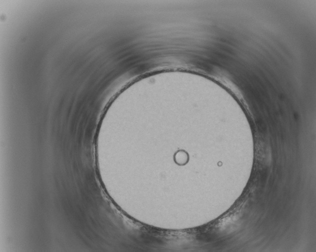 X0000068820807200605121314