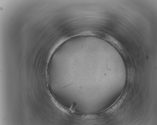 X0000068820808200605121314