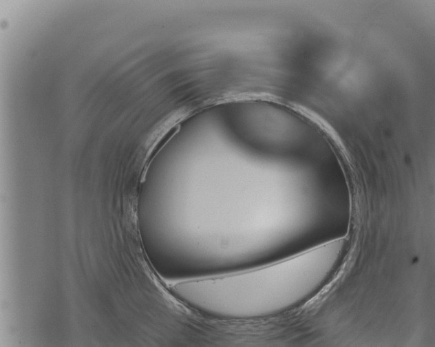 X0000068820809200605121314