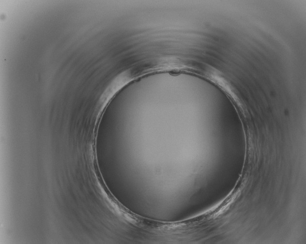 X0000068820810200605121314