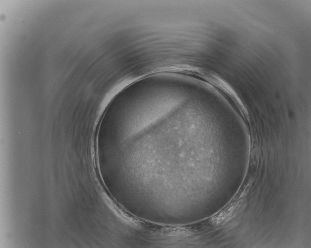 X0000068820811200605121314