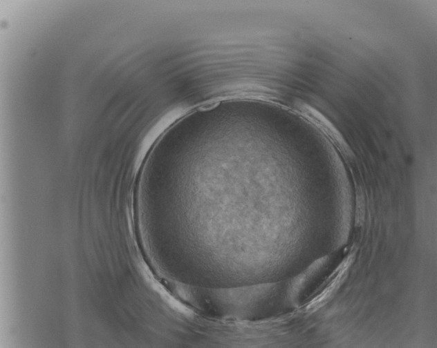 X0000068820812200605121314