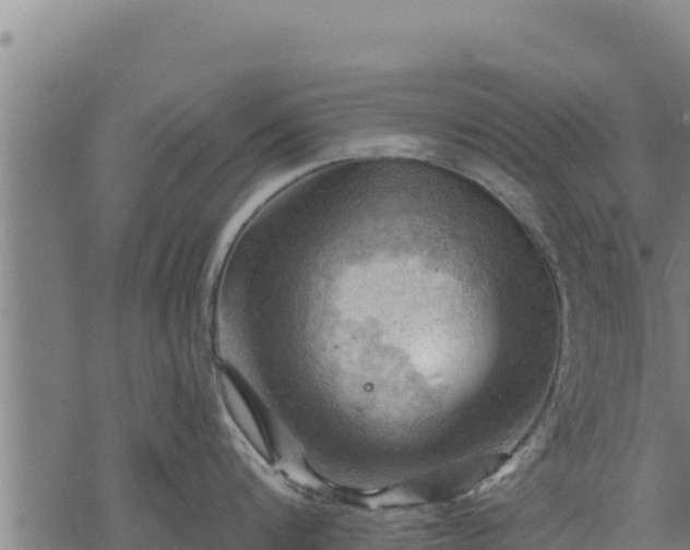 X0000068820816200605121314