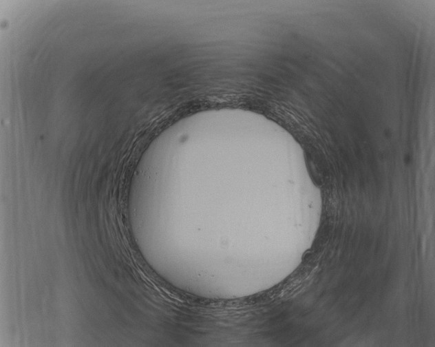 X0000068820817200605121313