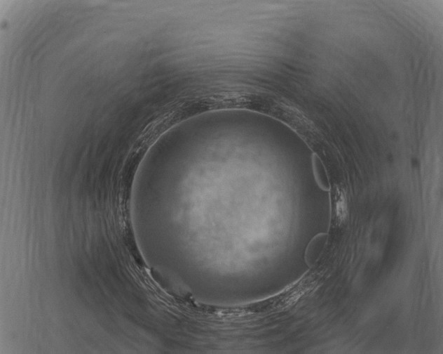 X0000068820819200605121313