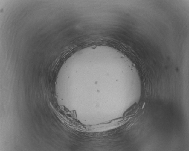 X0000068820820200605121313