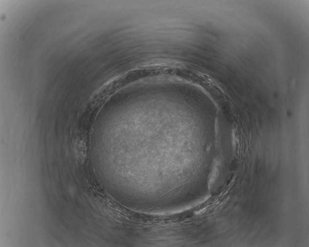 X0000068820821200605121313