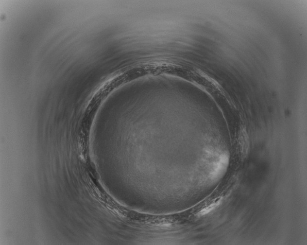 X0000068820823200605121313