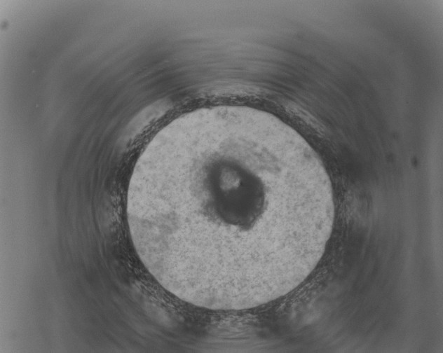 X0000068820824200605121313