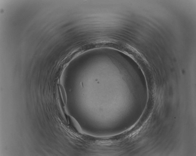 X0000068820825200605121313