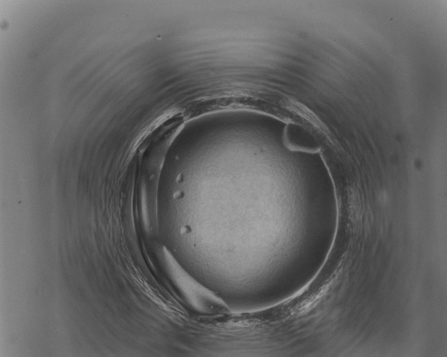 X0000068820826200605121313