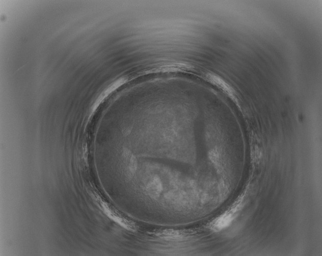 X0000068820827200605121313