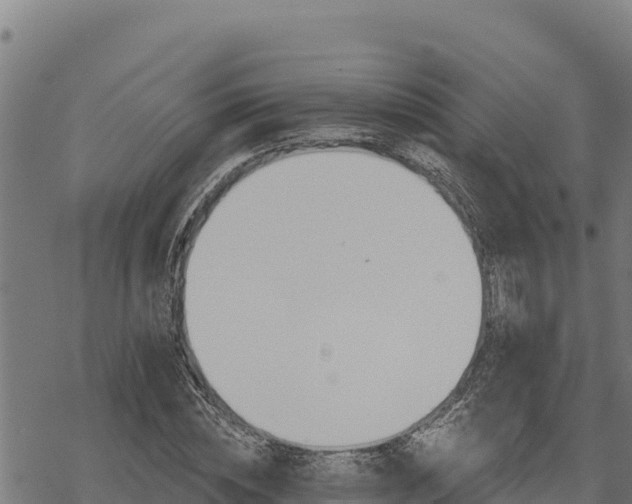 X0000068820828200605121313