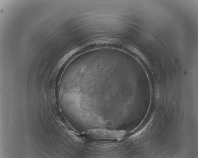 X0000068820829200605121313