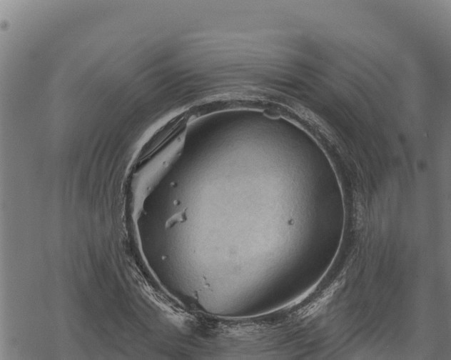 X0000068820830200605121313