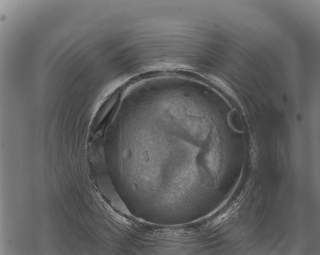 X0000068820831200605121313