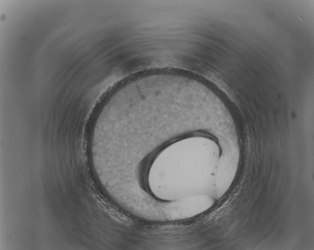 X0000068820832200605121313