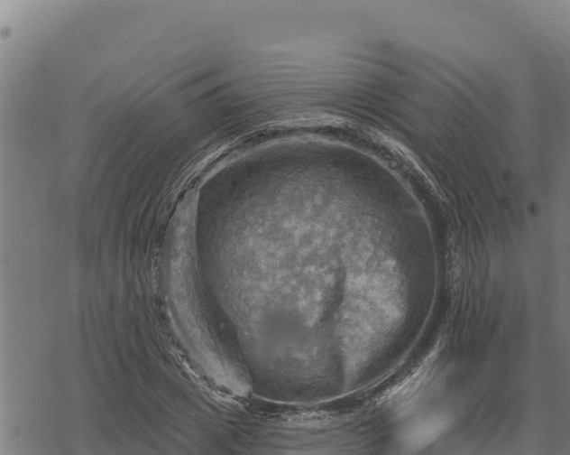 X0000068820833200605121314