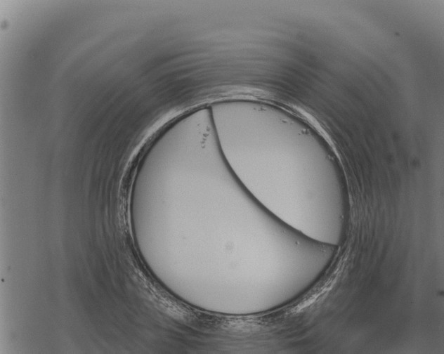 X0000068820835200605121314