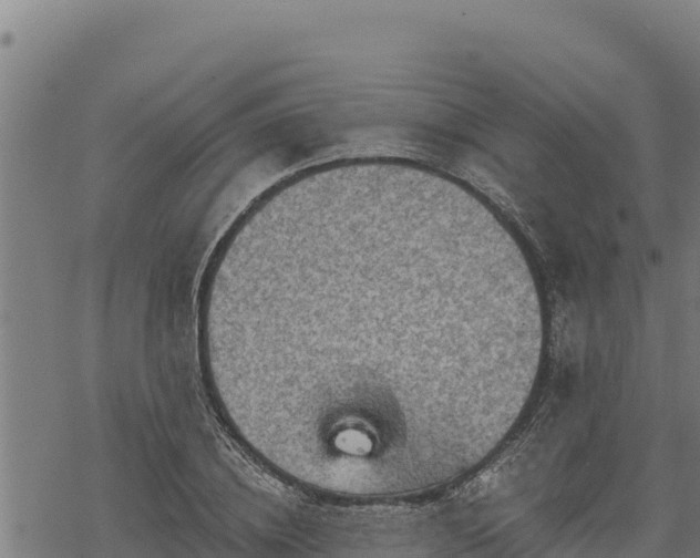 X0000068820836200605121314