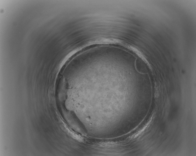 X0000068820837200605121314