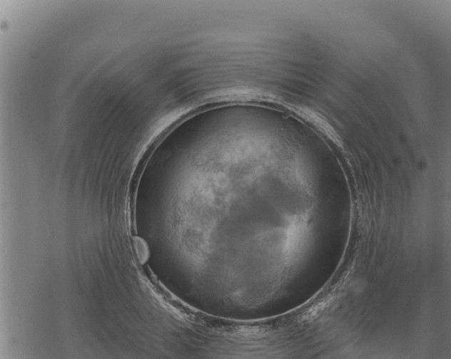 X0000068820839200605121314