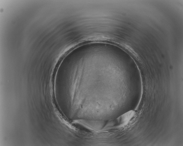 X0000068820840200605121314