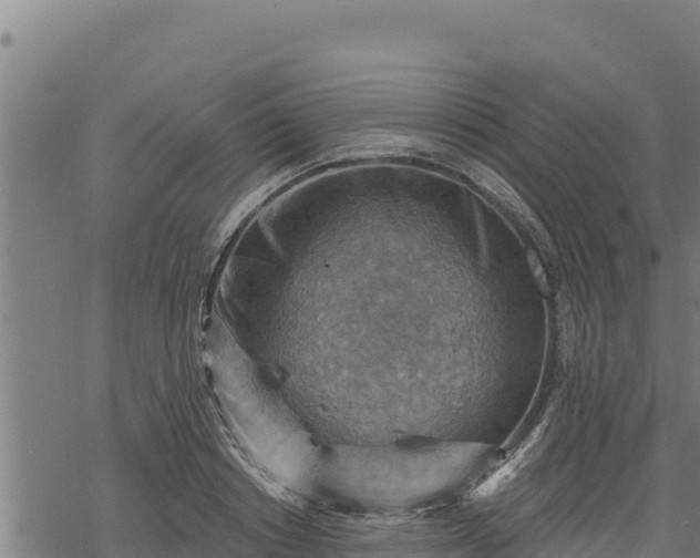 X0000068820842200605121314