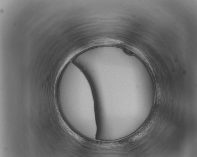 X0000068820843200605121314