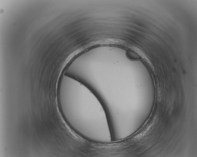 X0000068820845200605121314