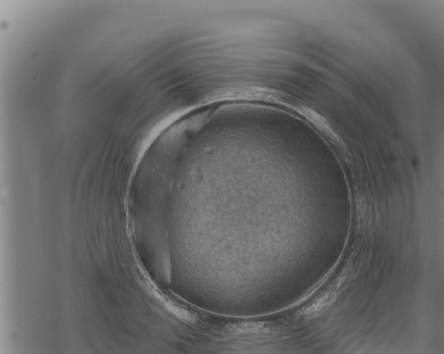 X0000068820846200605121314