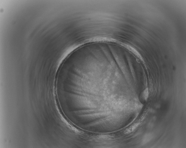 X0000068820847200605121314