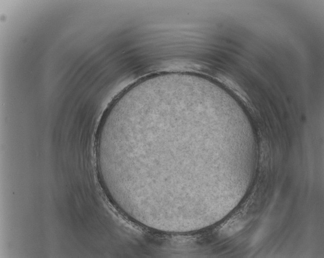 X0000068820848200605121314