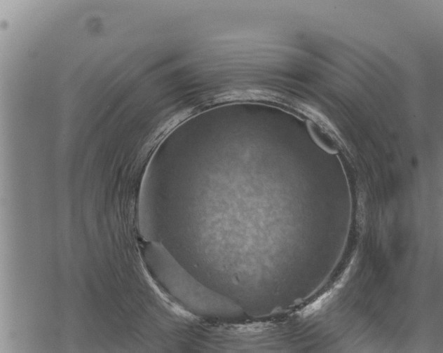 X0000068820849200605121314