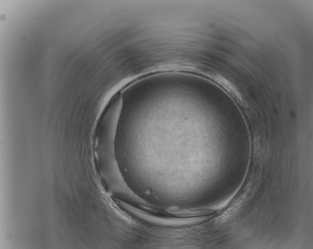 X0000068820854200605121314