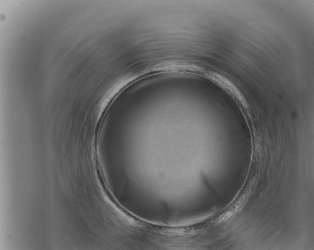 X0000068820855200605121314