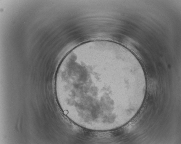 X0000068820856200605121314