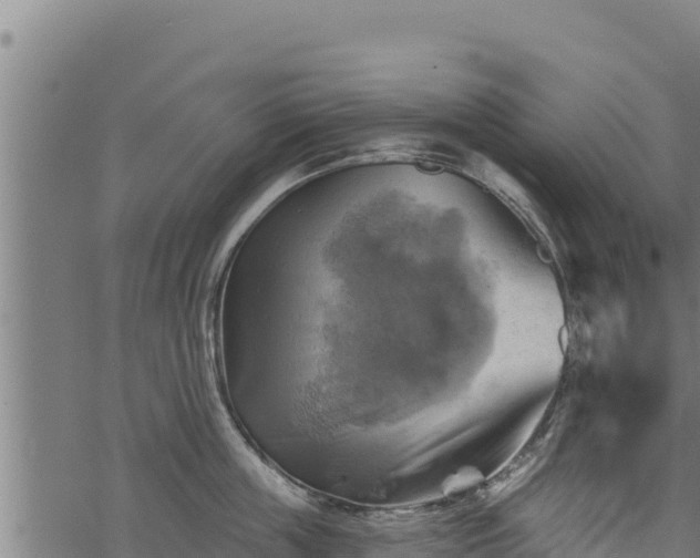 X0000068820859200605121314