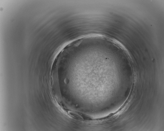 X0000068820860200605121314