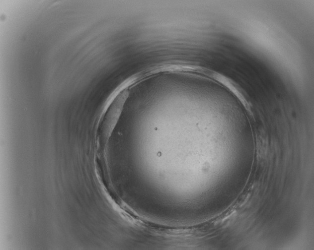 X0000068820861200605121314