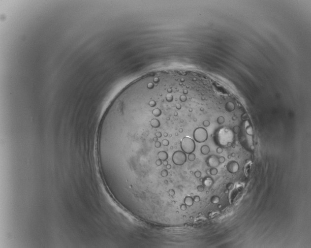 X0000068820863200605121314