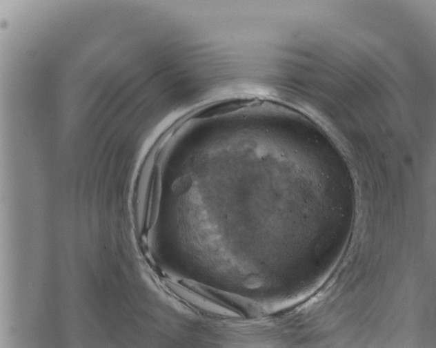 X0000068820864200605121314