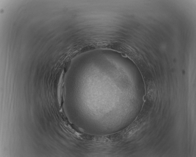 X0000068820866200605121313