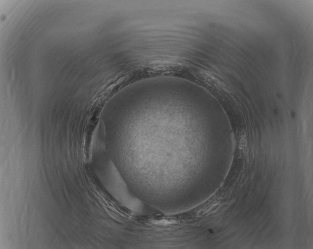 X0000068820868200605121313