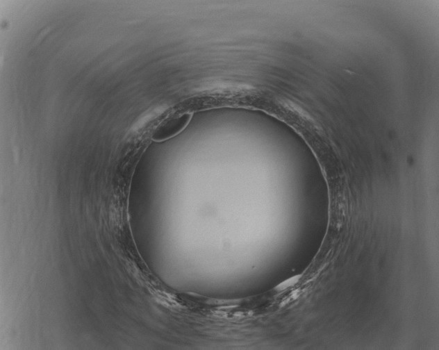 X0000068820869200605121313