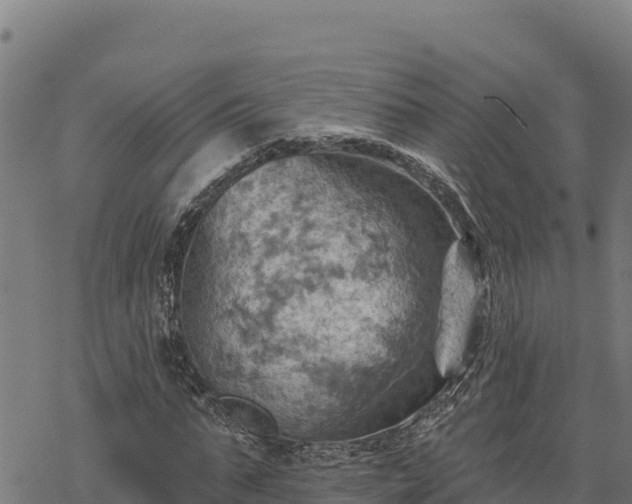 X0000068820871200605121313