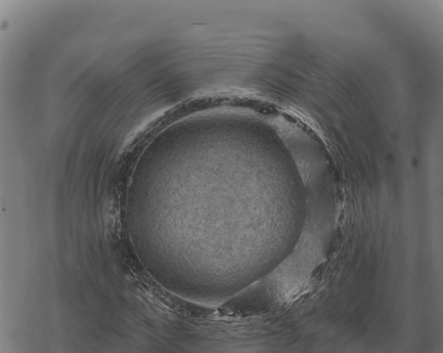 X0000068820872200605121313