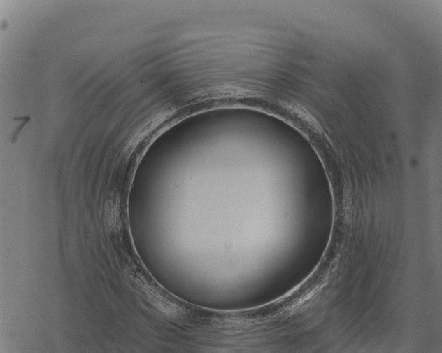 X0000068820873200605121313