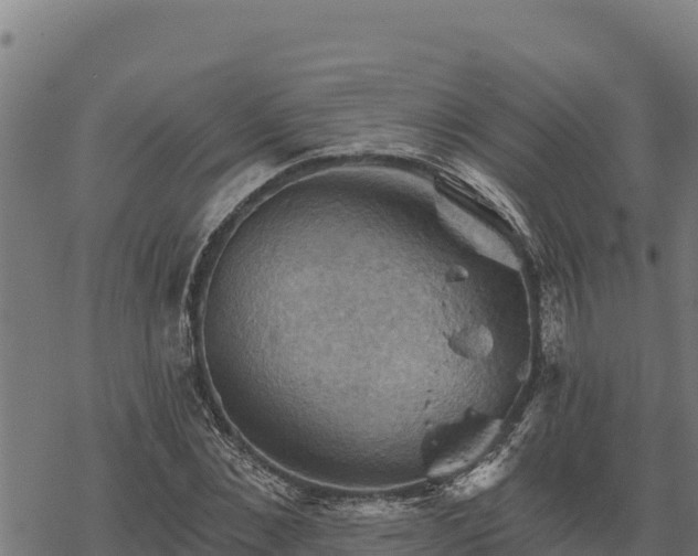 X0000068820876200605121313